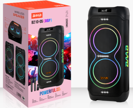 B210-05 (DSP)（2x10“）