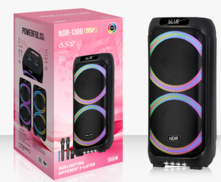 NDR-1306（DSP）2x6.5“