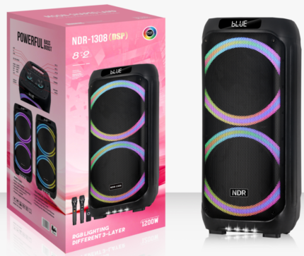 NDR-1308（DSP）2x6.5“