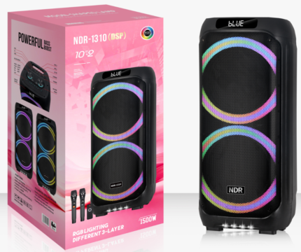 NDR-1310（DSP）2x6.5“