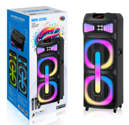 NDR-2250 （2*12“）