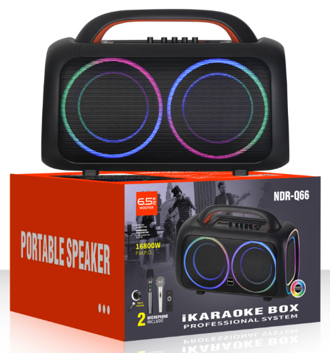 NDR-Q66 (2*6.5" Hot Selling)